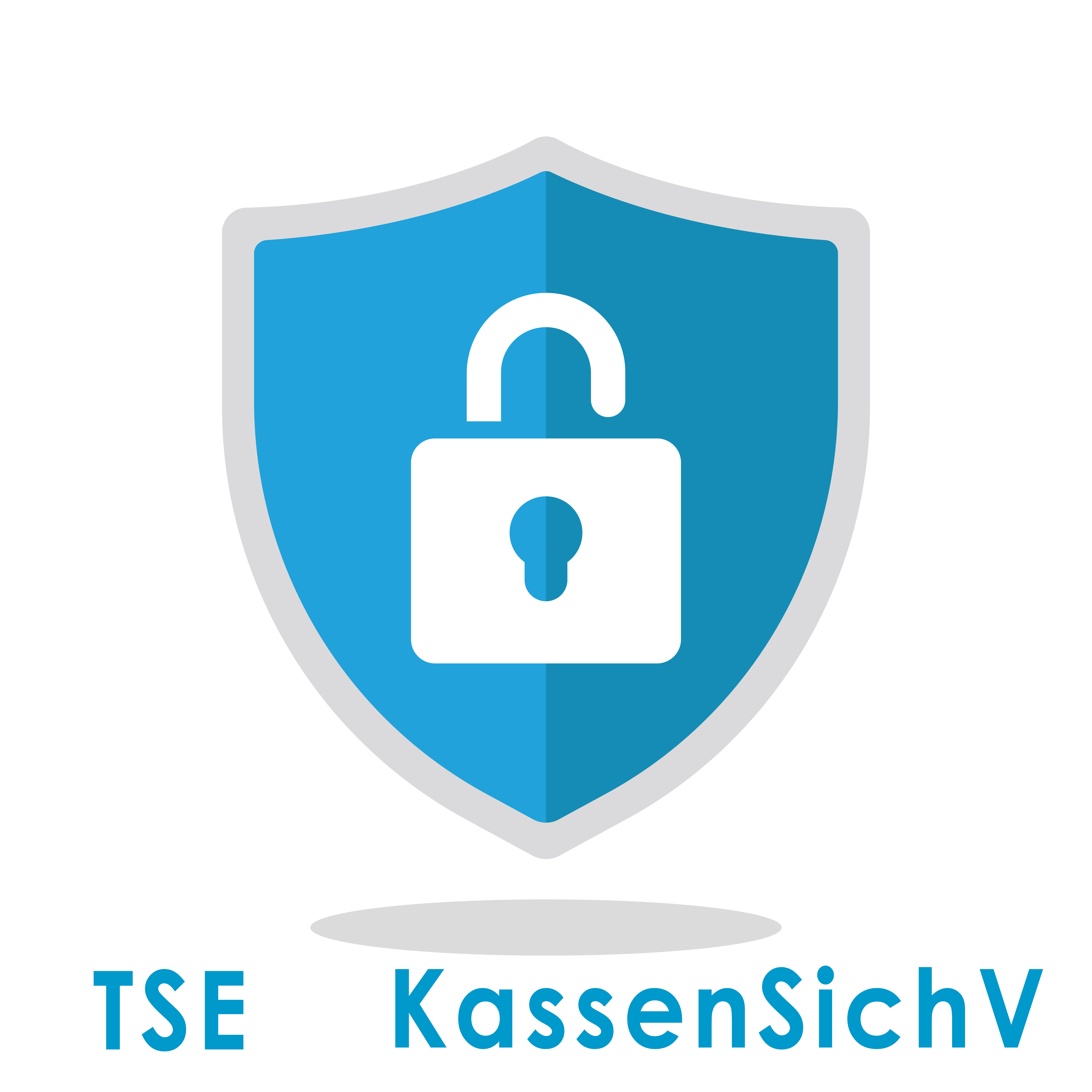 TSE Austausch Service inkl. Protokoll