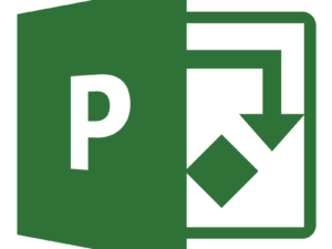 Microsoft Project Server 2019